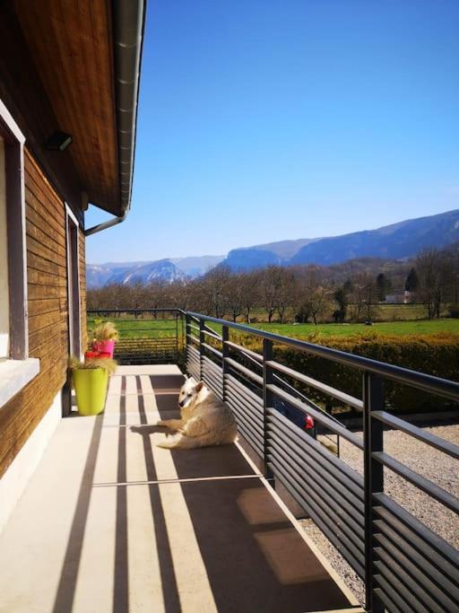 Balcons Du Royans.Logement Entier Piscine Saint-Jean-en-Royans Exterior photo
